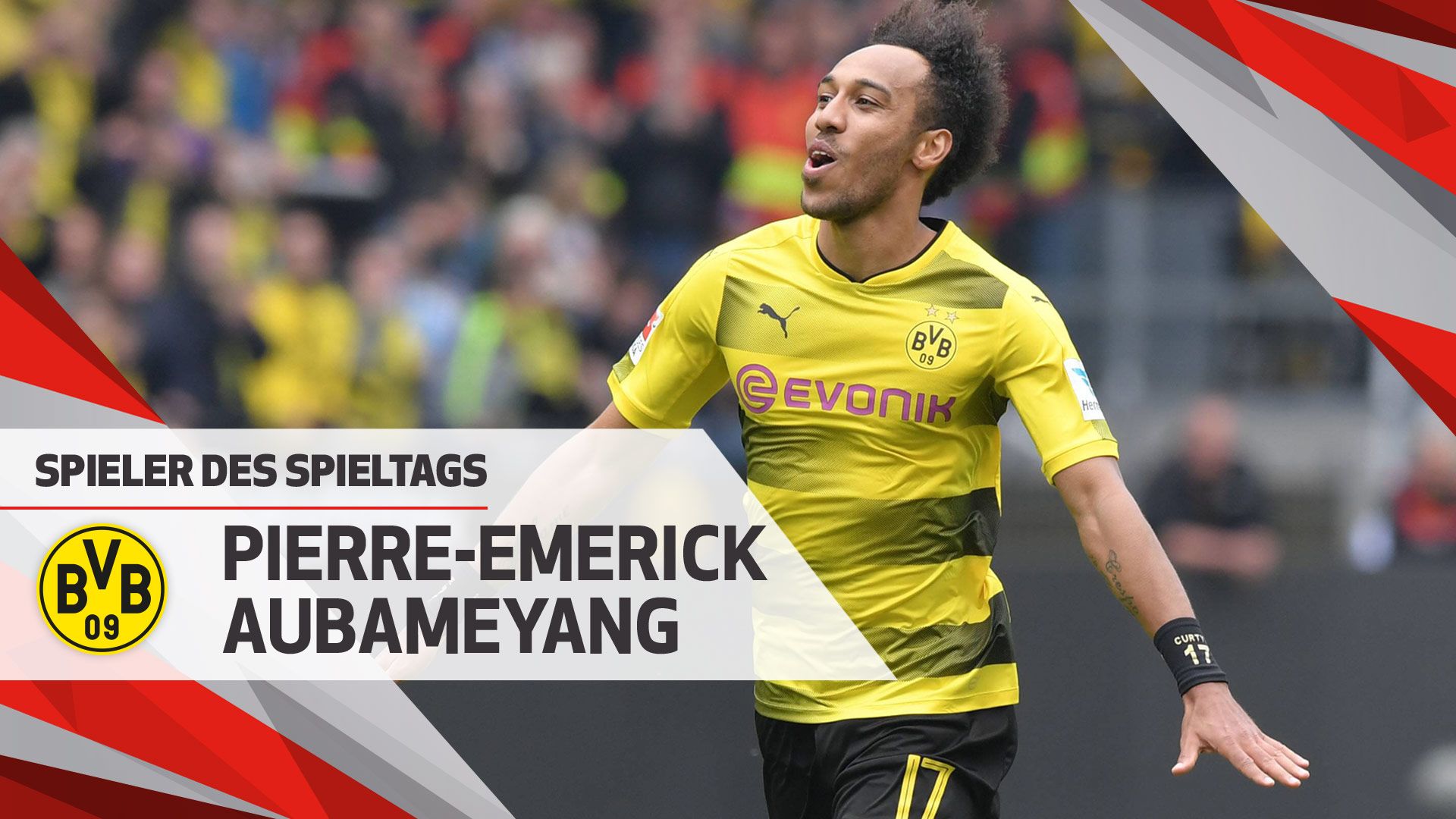 实验室立轴行星搅拌机成为众多用户的选择